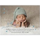 Welcome Home Blue Photo Adoption Announcement